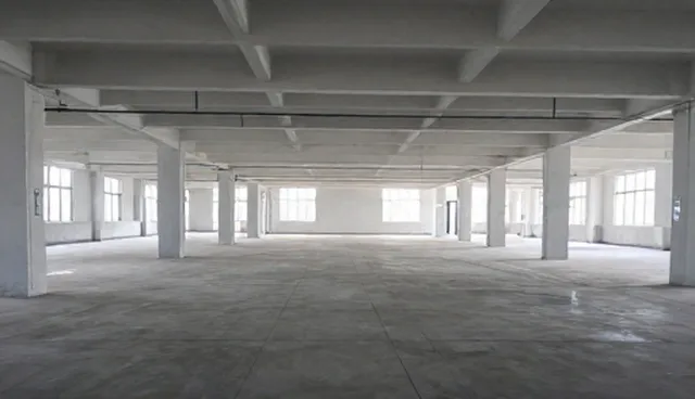 系统优化服务选型与使用建议